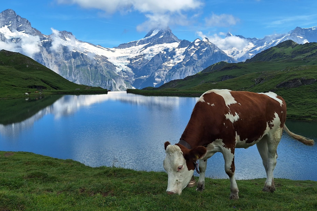 bachalpsee route 1